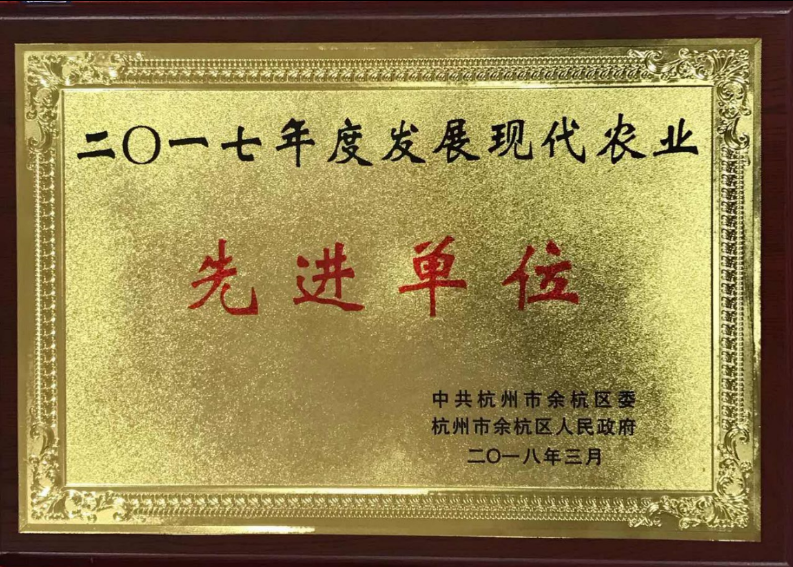 喜讯！华体会（中国）连获两项殊荣