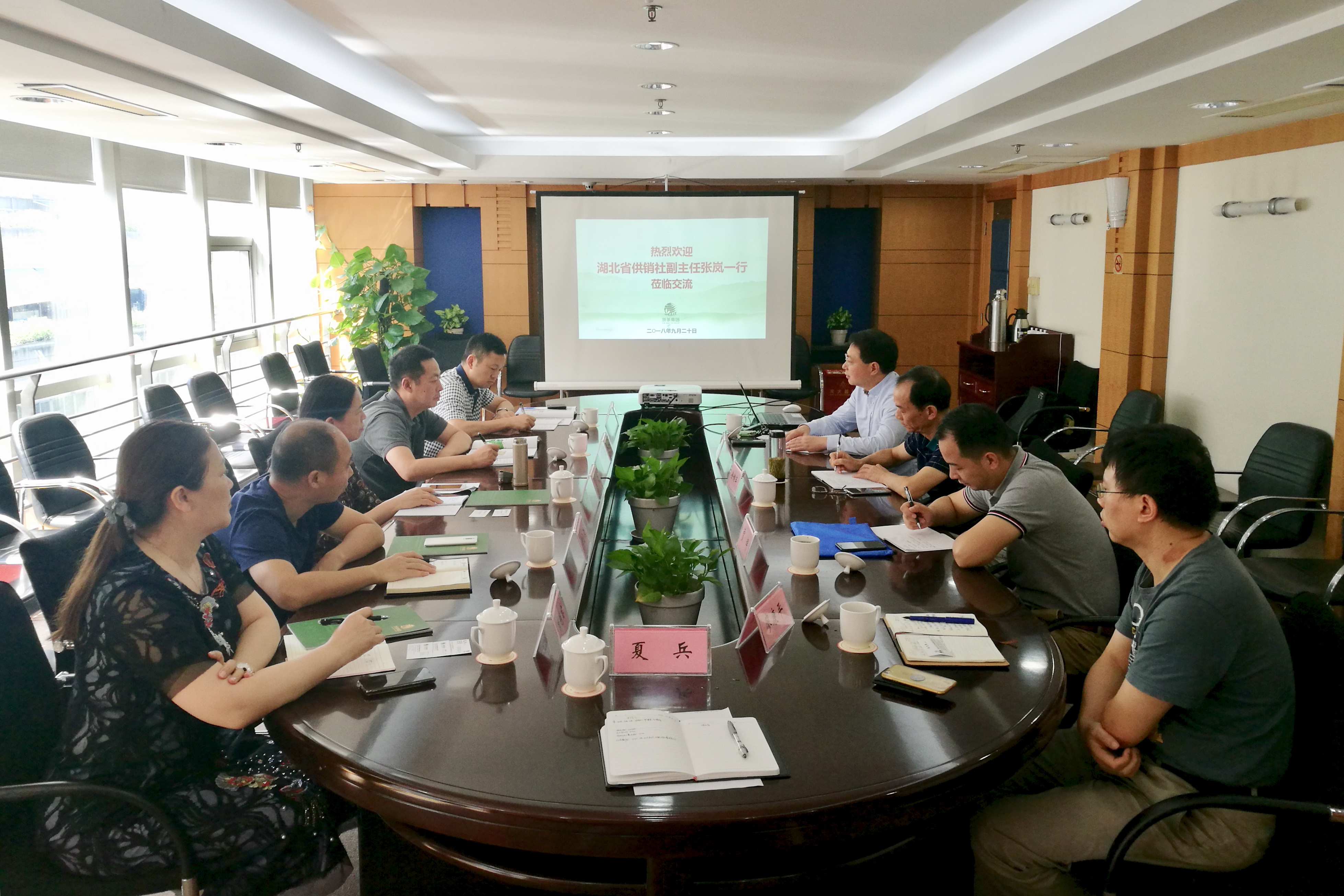 湖北省供销社张岚副主任一行莅临华体会（中国）考察交流