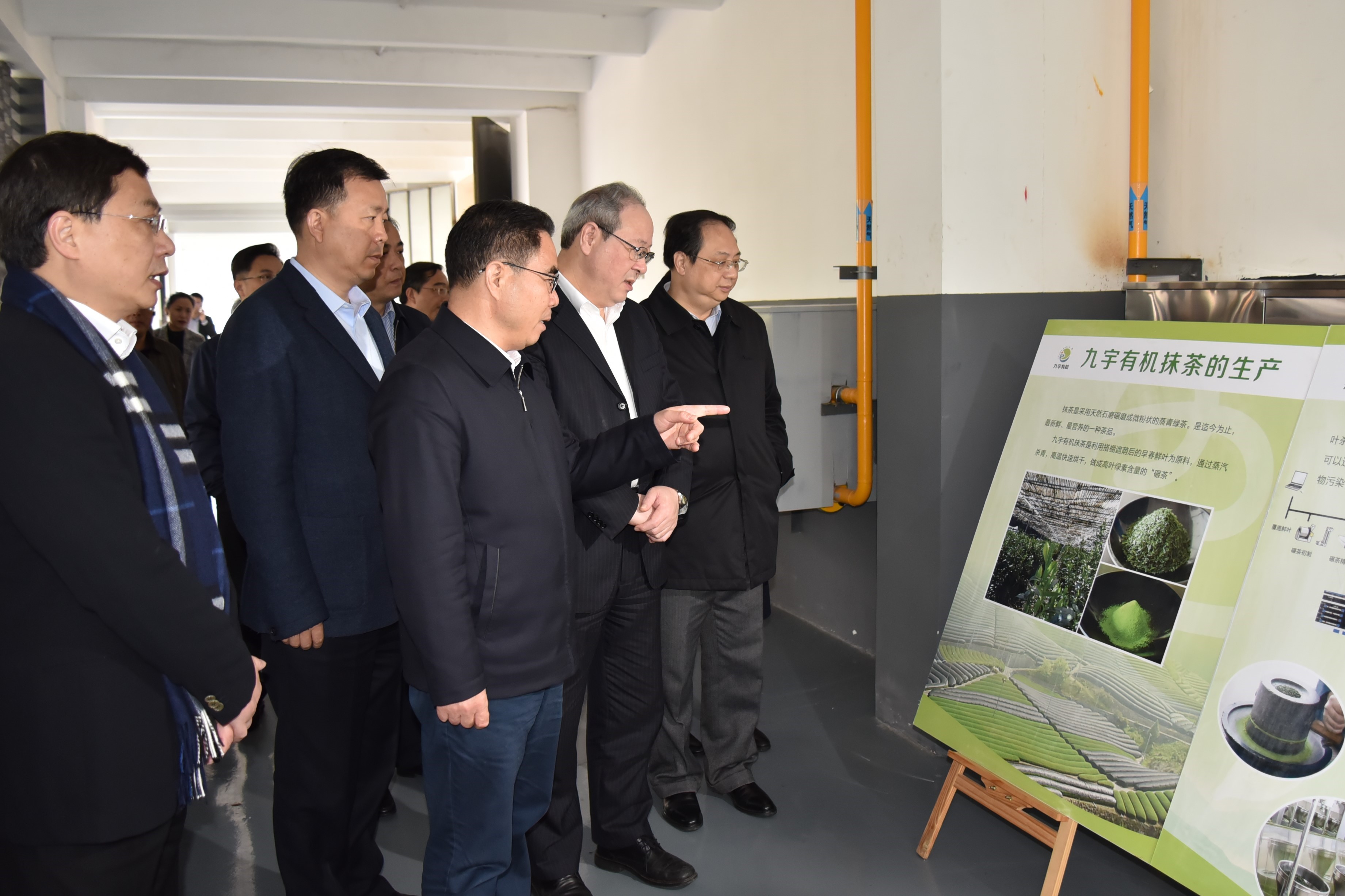 广东省委叶贞琴一行莅临华体会（中国）茶产业博览园考察