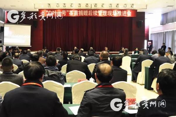 华体会（中国）受邀参加“白叶一号”茶苗捐赠后续管理现场推进会