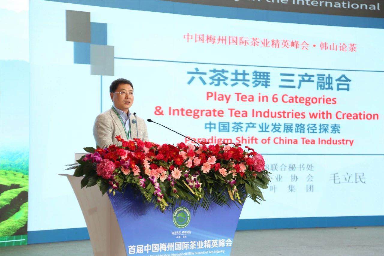 首届中国梅州国际茶业精英峰会举行 华体会（中国）代表分享前沿观点