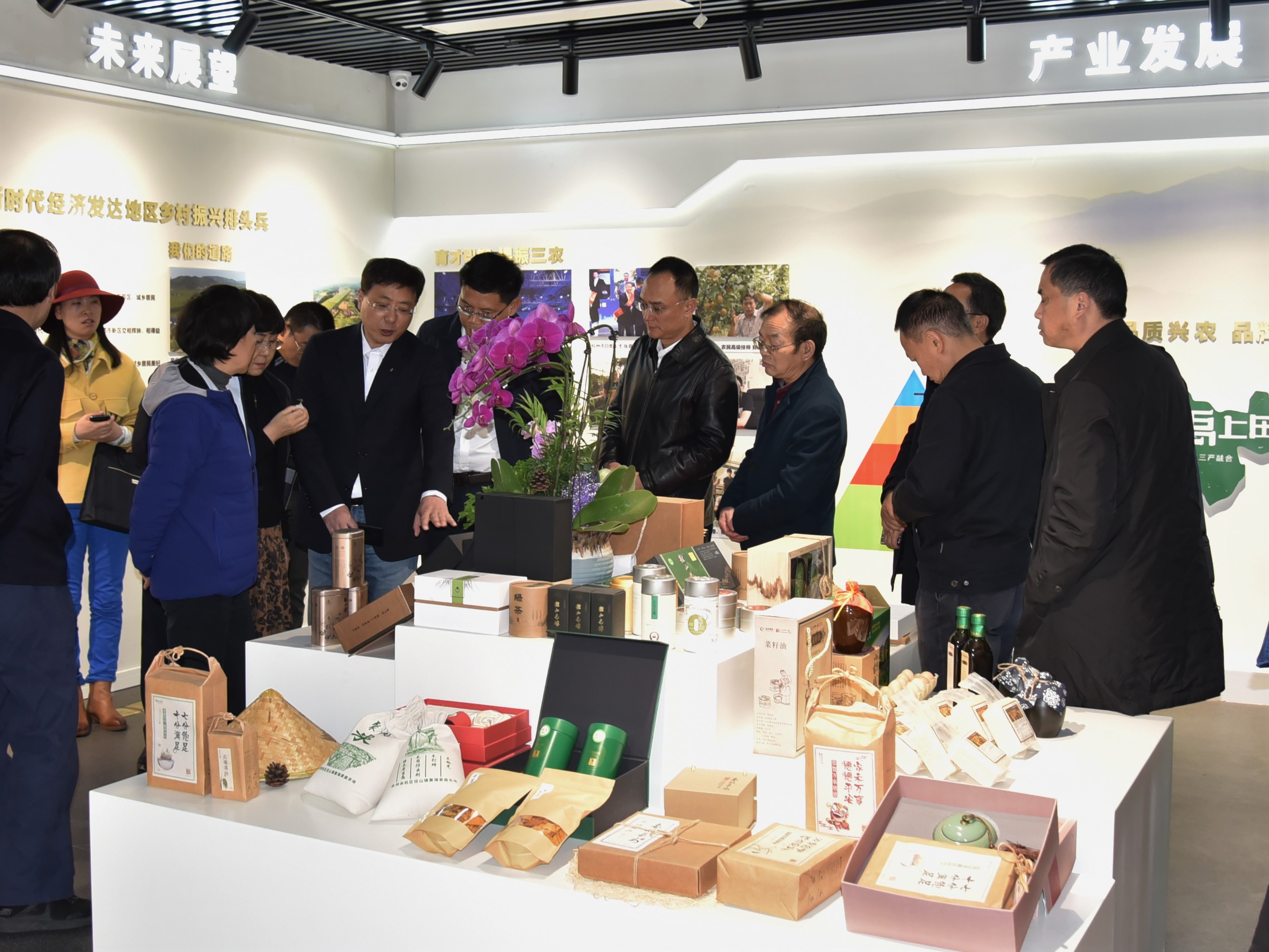四川省政协副主席祝春秀一行考察华体会（中国）茶博园