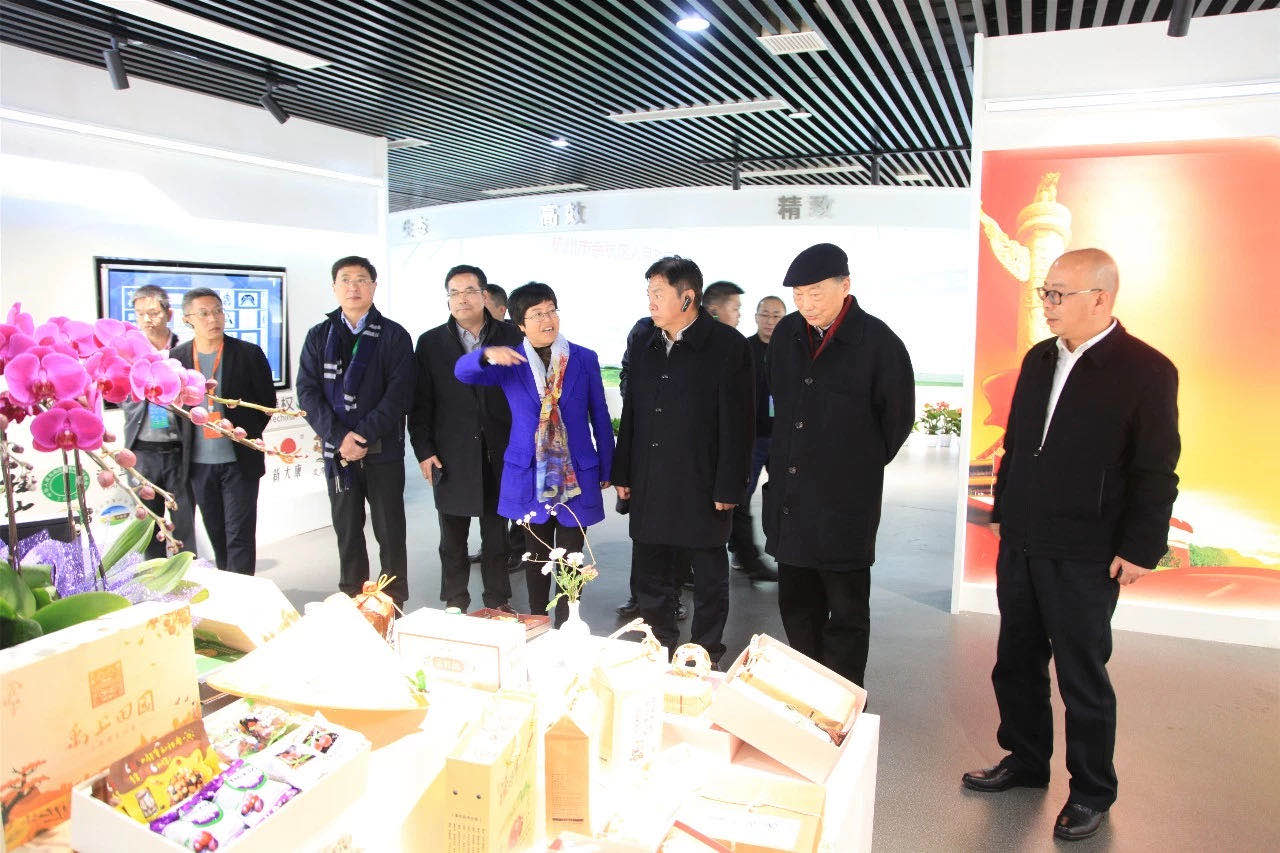 2019中国乡村振兴暨首届“一带一路”农业农村发展论坛嘉宾参观华体会（中国）九宇有机茶博园