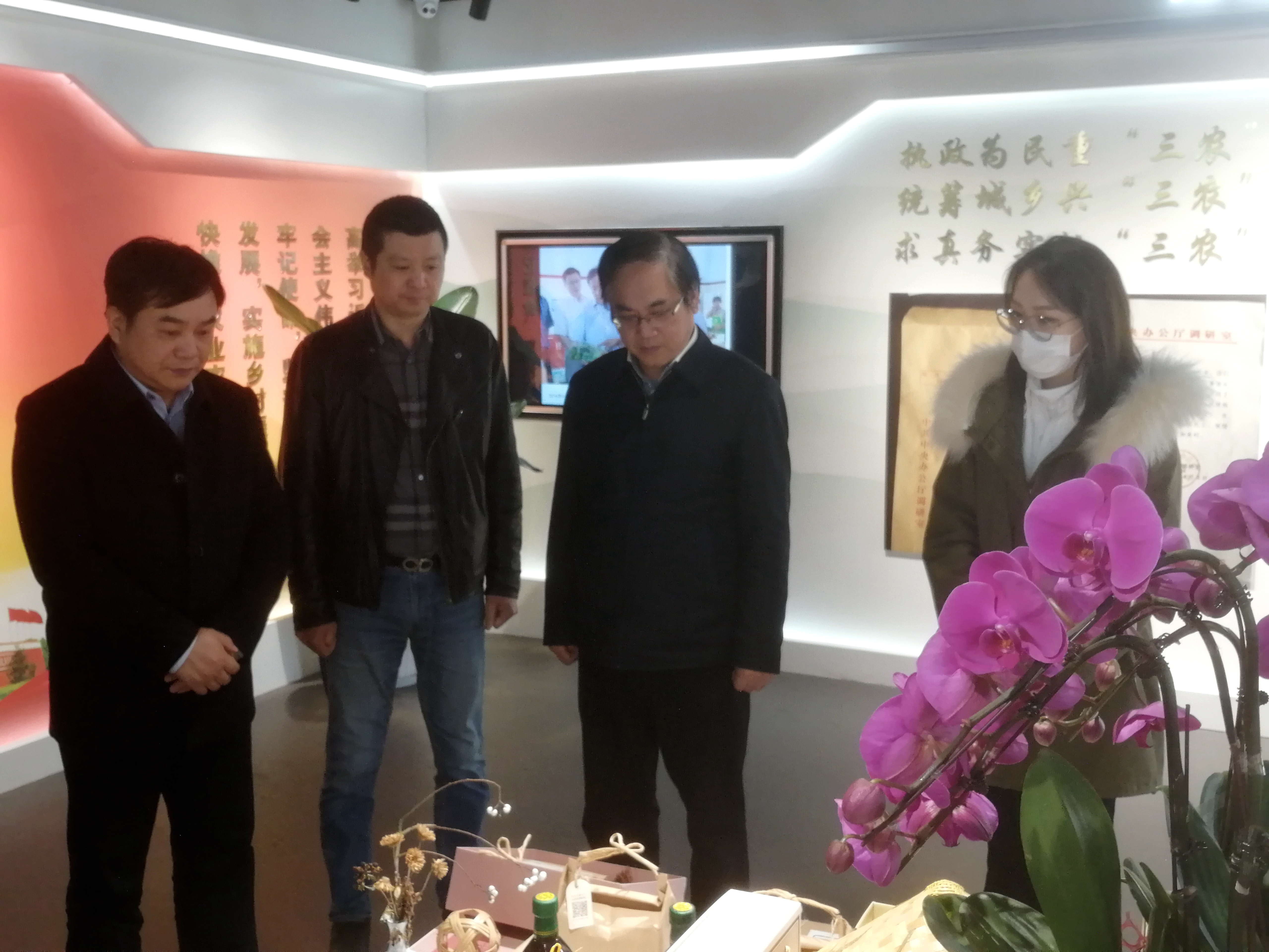 浙江省发改委副主任徐幸一行莅临华体会（中国）茶博园调研