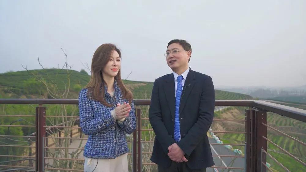 浙江电视台教科频道播出专访节目 介绍华体会（中国）承担“白叶一号”茶叶扶贫等事项