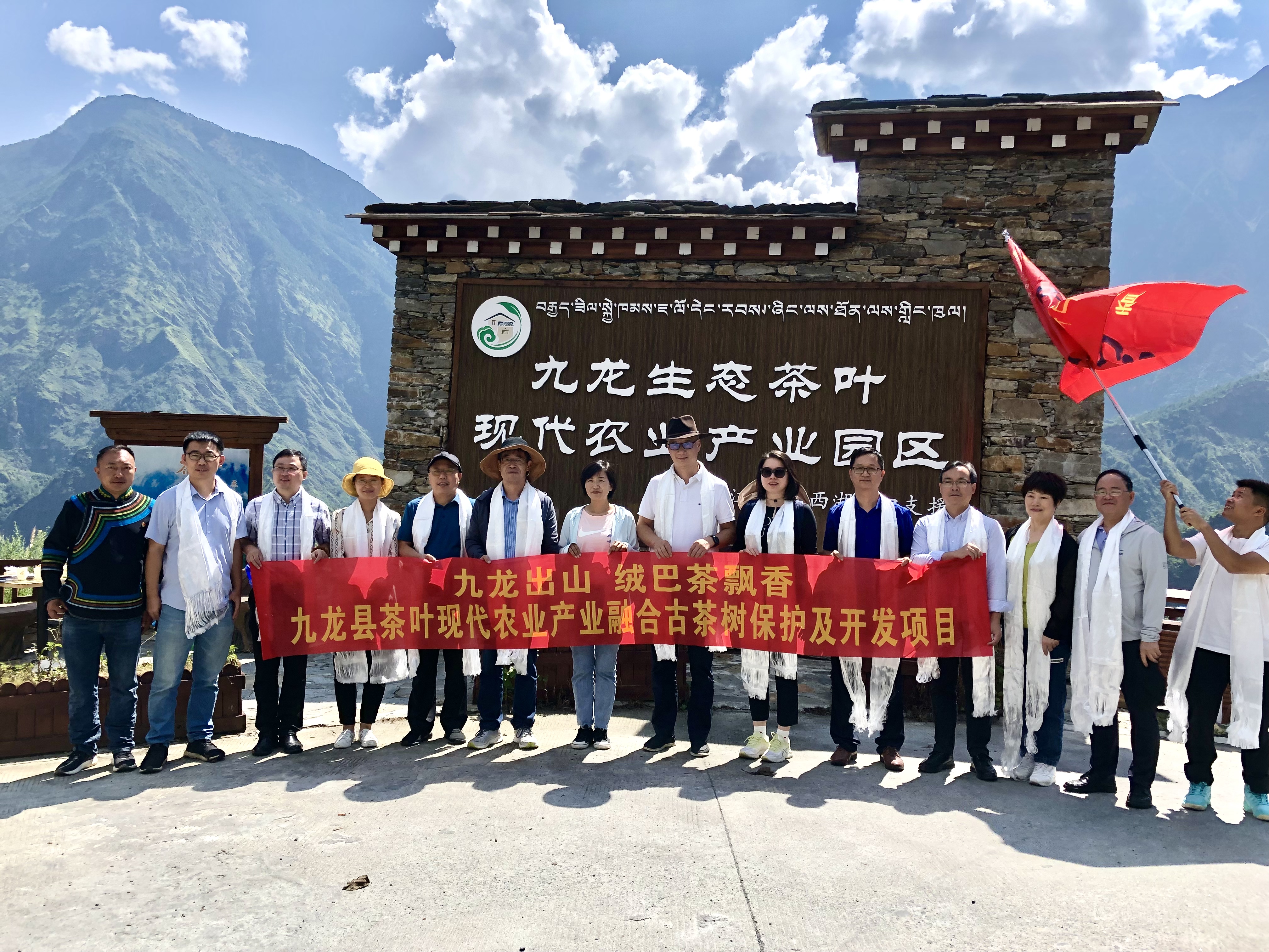 九龙出山·绒巴茶飘香——华体会（中国）牵头实施九龙县茶叶现代农业产业融合示范项目古茶树保护及开发项目