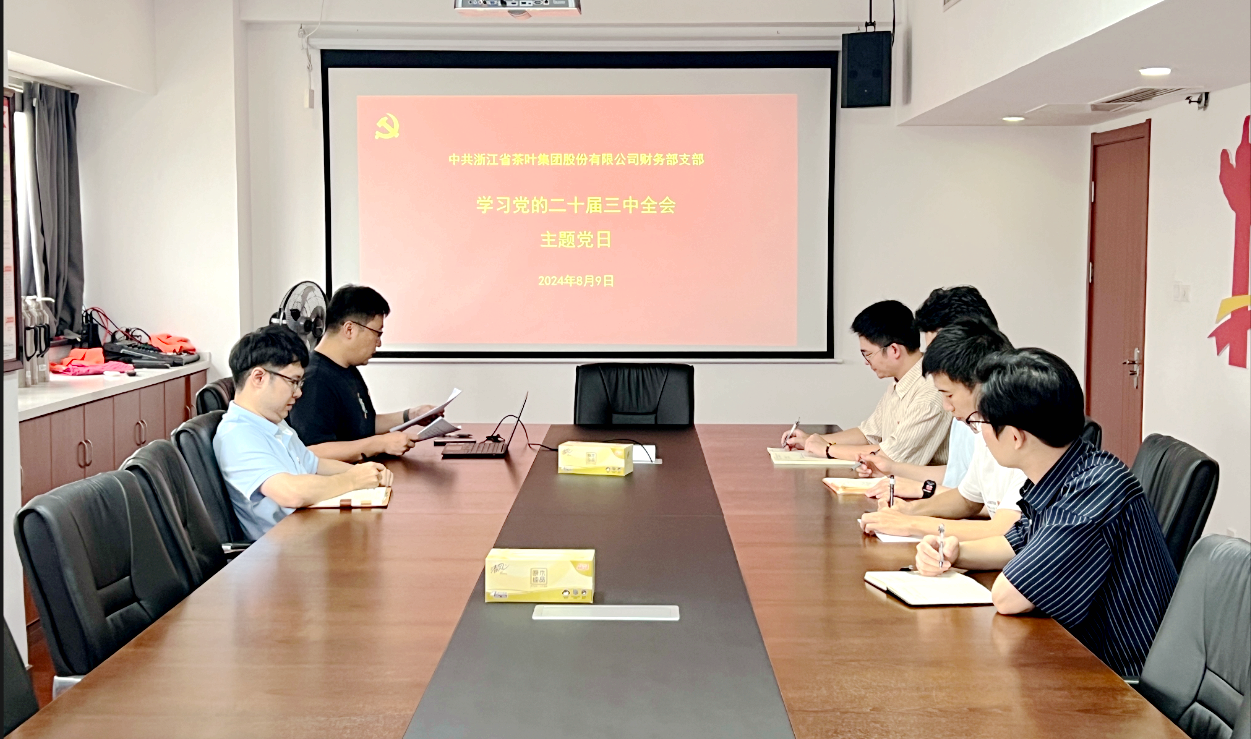 华体会（中国）财务部党支部开展学习党的二十届三中全会精神主题党日活动